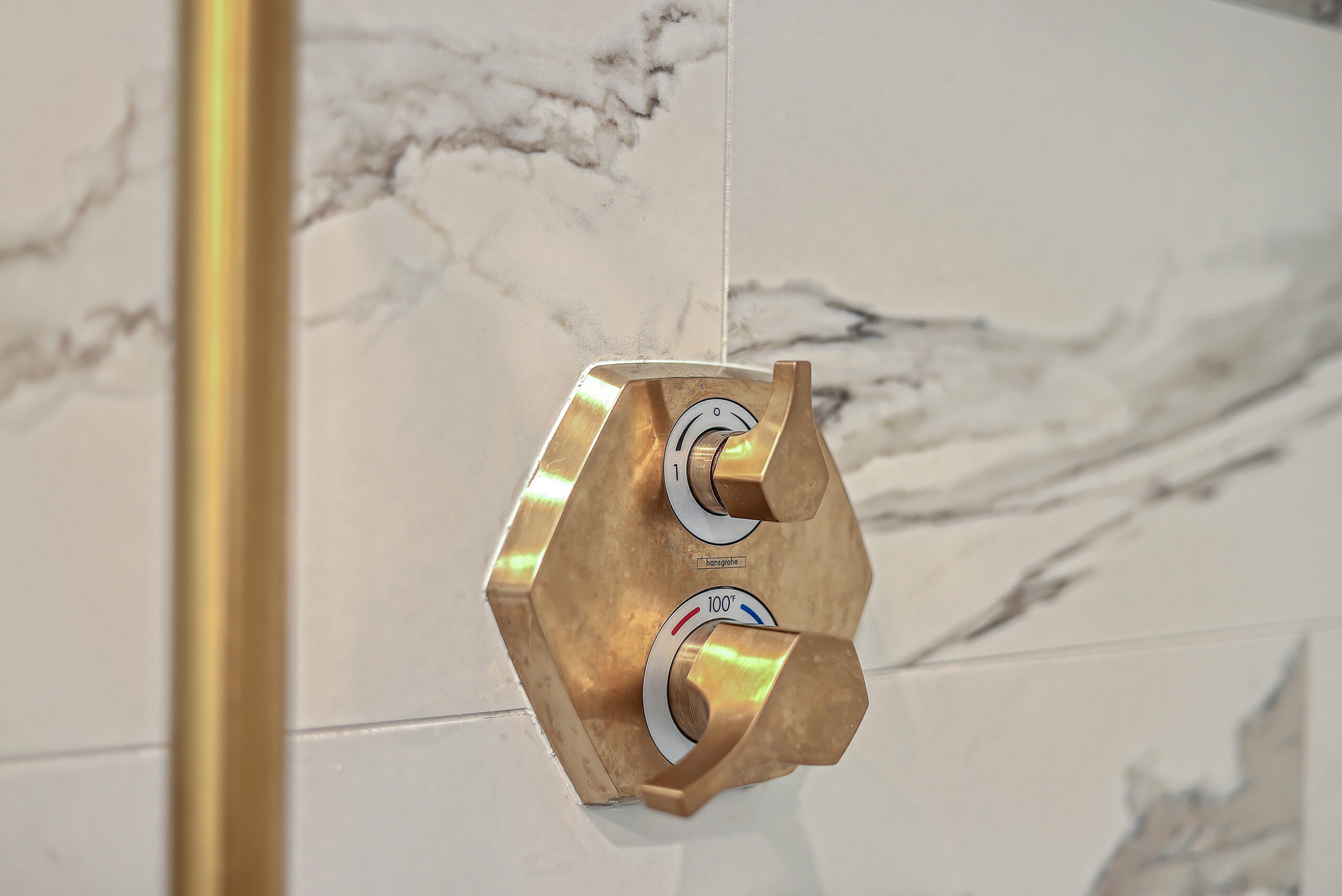 Greenview Lane | Primary Bathroom Renovation