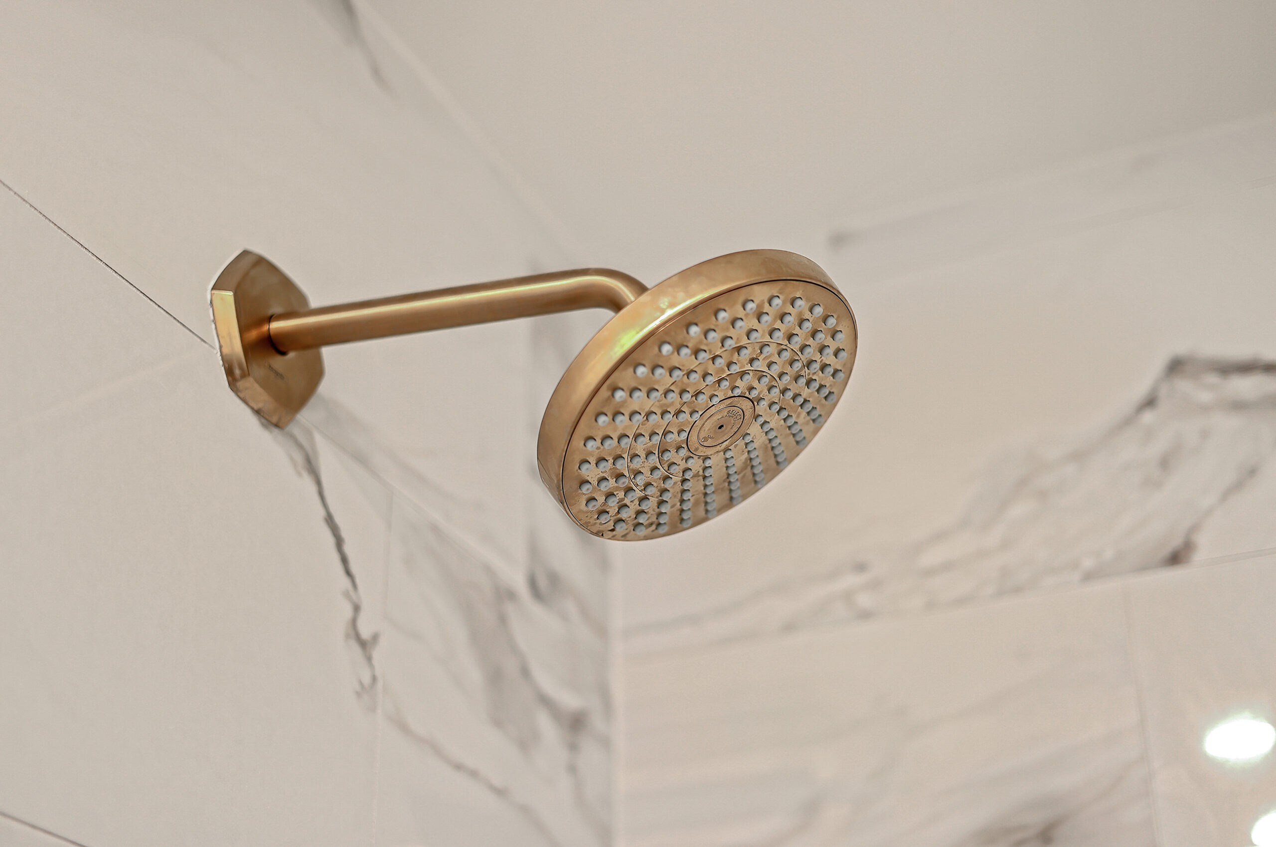 Greenview Lane | Primary Bathroom Renovation