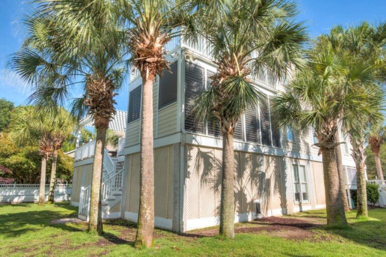 whole property renovation